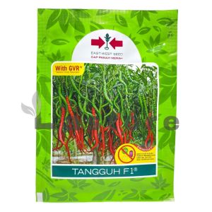 Benih Cabe Cabai Keriting TANGGUH F1 Isi 2000 Butir Cap Panah Merah