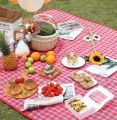 Thảm picnic, thảm trải dã ngoại chống thấm nước, thảm decor trang trí chụp ảnh gấp gọn. 