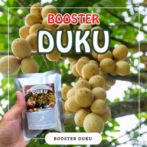 Booster Tanaman Duku / Pupuk Booster Hayati Khusus Tanaman Duku
