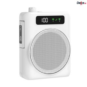 Portable Wireless Loudspeaker With 2pcs Magnetic Bluetooth Lavalier Microphones