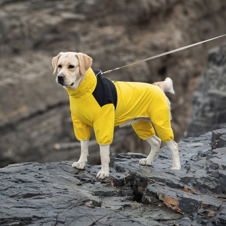 Medium And Large Dog Raincoat Labrador Golden Retriever Shiba Lnu Four 