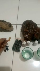 ESSEN KATILAYU ASLI GACOR UNTUK IKAN MAS NILA BAWAL LELE PATIN DAN IKAN LAINNYA