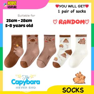 (READY STOCK) Capybara Kids Women Ins Tide Casual Socks Cute Campus Autumn Winter Student Sports Socks卡通卡皮巴拉儿童小孩短袜