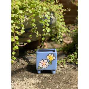 Chậu trồng cây sen đá/xương rồng/bonsai nhập Trυng men vuông bông hoa🌸