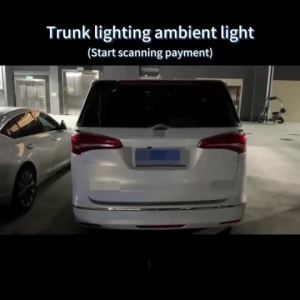 Local area train sequence flowing LED lights around the perimeter auto interior decorative lighting rear door light strip detection 2M 4M