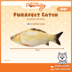 Purrfect Catch – Realistic Fish Plush for Cats
