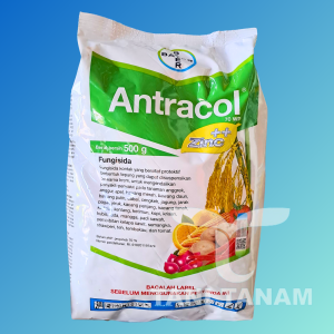 ANTRACOL 70 WP FUNGISIDA PENGENDALI PENYAKIT // ANTRAKOL FUNGISIDA