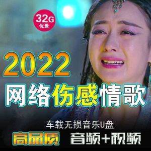 Network Sad Love Song Music U New Song List Selected Tear Songs Lossless Sound Quality MP3 Audio and Video Usb Flash Drive