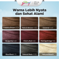 [Paket isi 2] NYU Creme Hair Color Cherry Red 60ml - NYU Pewarna Rambut. 