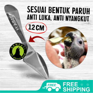 SEMPATI Sendok Khusus Lolohan Pakan Bayi Burung SDKSEM