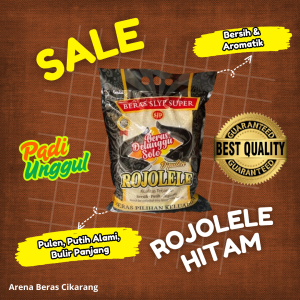 (SPECIAL SALE LAZADA!!) PROMOO BERAS PULEN PREMIUM AYANA 5KG ARENA SEMBAKO CIKARANG