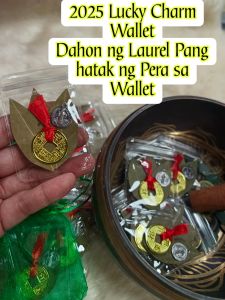 Lucky Wallet Charm Dahon ng Laurel pampasuwerte at Panghatak ng Pera sa Wallet
