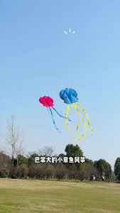 [SG Seller]Portable Foldable Octopus Kite Beginner-Friendly Soft Kite with Long Tail for Kids & Toddlers