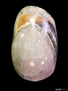 Uruguay Amethyst Cluster Crystal