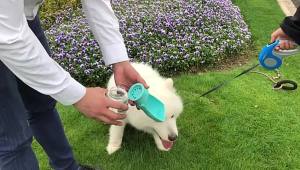 Portable Dog Water Bottle FoldableDrinking Dispenser for Outdoor Walks