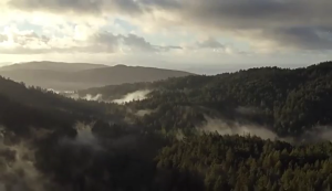 Terrariums พัดลม Hangable Coolers Terrariums พัดลมทำความเย็นกับจอ LED แสดงผลอุณหภูมิถังสัตว์เลื้อยคลานอุปกรณ์เครื่องทำความเย็น