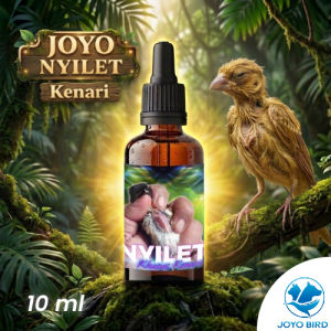 OBAT BURUNG NYILET | OBAT BURUNG KURUS | PENAMBAH NAFSU MAKAN | NYILET KENARI 10ML