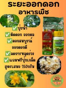 ปุ๋ยน้ำ ปุ๋ยดอก ออกดอก จับดอก ติดดอก  ดอกเยอะ ขั้วเหนียว ไม่ร่วง ดอกสมบูรณ์ ติดผล ได้น้ำ 200ลิตร  เอสทีม