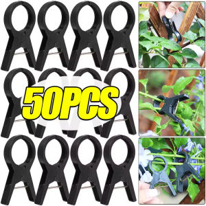 50Pcs Garden Plant Support Clips Tomatoes Vine Buckle Flower Clamp Cucumber Grape Climbing Tool Gardening Supplies