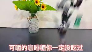 即食咖啡糖 Coffee candy beans 咖啡豆糖果 独散装批发 small snacks wholesale food
