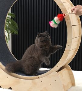 ✅Ready Stock✅ Pet Treadmill Cat Rattan Tickling Stick Kucing Indoor Running Run Wheel Roller Sport Toy Climbing Exercise