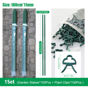 Garden Plant stakes 5/10แท่ง ไม้ค้ำต้นไม้  ยาว180/2100ซม. หนา20มม.with clip
