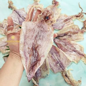 1kg Mực khô Nha Trang Size 30-40 con/kg ngon ngọt