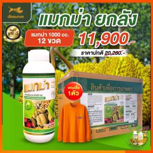 แมกม่า (Maxma) สารจับใบแมกม่า 1 ขวด 1 ลิตร (ฮอร์โมนพืช) ช่วยลดการสูญเสียยาและฮอร์โมน ทำให้สารที่ผสมร่วมออกฤทธิ์ได้เต็มที่