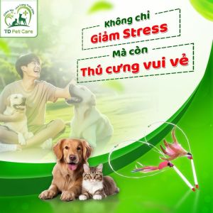 Cần Câu Cho Mèo Dây Thép Dành Cho Mèo - Đồ Chơi Mèo - Đồ Chơi Cho Chó