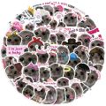 สติกเกอร์ Meme ตลกลายหนูแฮมสเตอร์เศร้าน่ารักจำนวน56ชิ้นสติกเกอร์รูปสัตว์กราฟฟิตีแบบทำมือรูปลอกกีตาร์แล็ปท็อปจักรยานของเล่นสำหรับเด็ก. 