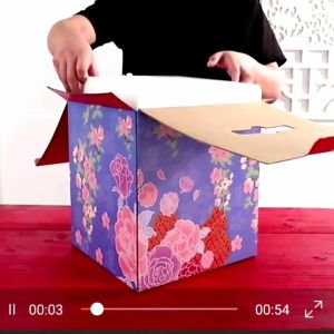 ✅10 Inches Gold & Red  Lucky Cat Gift Fortune  Decoration/10寸财源滚滚财招财猫【金色红色款】