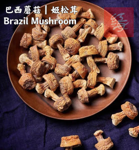 Red Sea Herbs 巴西蘑菇 | 姬松茸 Brazil Mushroom | Agaricus Blazei 100g/300g/500g 干货食用菌 高汤煲汤炒菜营养菇 干净无沙