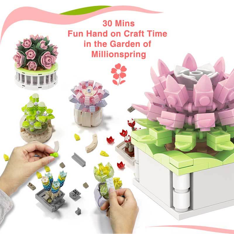 Kit de construction fleurs succulentes jouet plante en pot_voghion.com