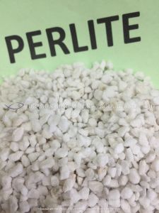 PERLITENatural Expanded Volcanic Perlite Cactus & Succulents Gardening (25L) (3-6mm)