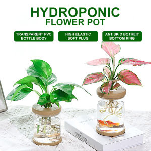 Water Plant Pot Plastic Transparent Hydroponic Small Pots for Indoor Water Garden or Plants Lazy Flower Pot Automatic Water Absorbing Self-Watering Flowerpot Soilless Planting Gardening Planter Home Decor