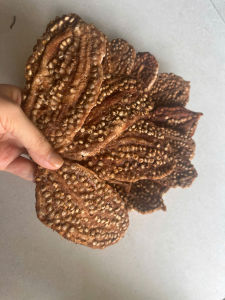 [500g 1kg]Chuối Hột rừng Ép miếng (Thượng Hạng) sấy khô ngâm rượu (khô sạch thơm). Đồ ngâm rượu chuối hạt rừng