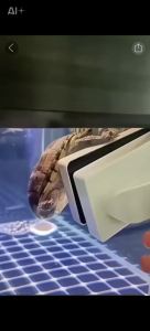 German Turtle Fungus Supplement Ubat Kura Kura Turtle Disease Care Liquid乌龟药 Eye Treatment Shell Tortoise陸龜用品 苏卡达 蘇卡達 陆龟护甲油