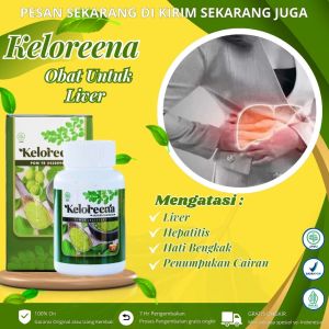Keloreena - Obat Liver Perut Bengkak Hepatitis Liver Bengkak Radang Hati Infeksi Hati Penumpukan Cairan