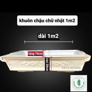 Khuôn đúc chậu cảnh chữ nhật 1m2 (khuôn chậu ABS có lòng trong)