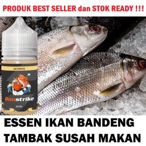 ESSEN IKAN BANDENG TAMBAK YANG SUSAH MAKAN PALING JITU ISI 30ML | BOOSTRIKE OCTOPUS
