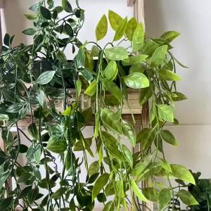 【Ready Stock】Artificial Vine Plants With Flowerpot Hanging Ivy Green Leaves Garden Decoration Fake Greenery Plant