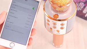 Original Fashion WS858 Bluetooth Wireless Condenser Magic Karaoke Microphone Mobile Phone Player MIC Speaker Record Music finknoitklnmbvnwierthbneinvknee