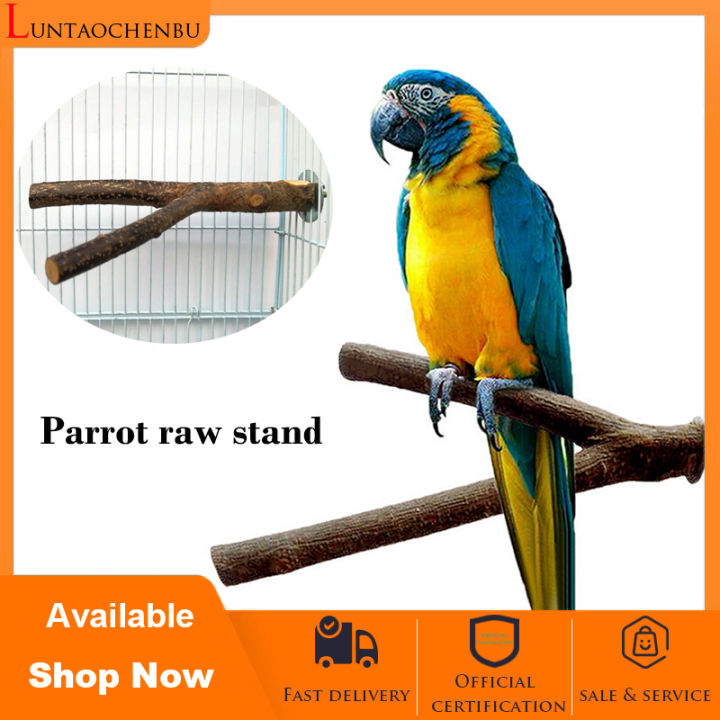 Bird Parrot raw wood gork tree branch stand rack With screw for bird