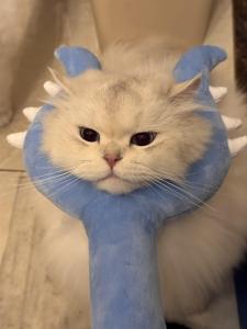 ของเล่นตลก ของเล่นเเมว ของเล่นหยุดแมว การเล่นแบบโต้ตอบ เสริมสร้างความผูกพัน