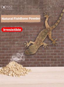 9 Pcs Lizard Sticky Smart Trap/Lizard Killer(Cicak/Gecko)