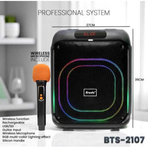 BTS-2248 Brodu Bluetooth speaker 12inch Outdoor karaoke audio system with wireless microphone