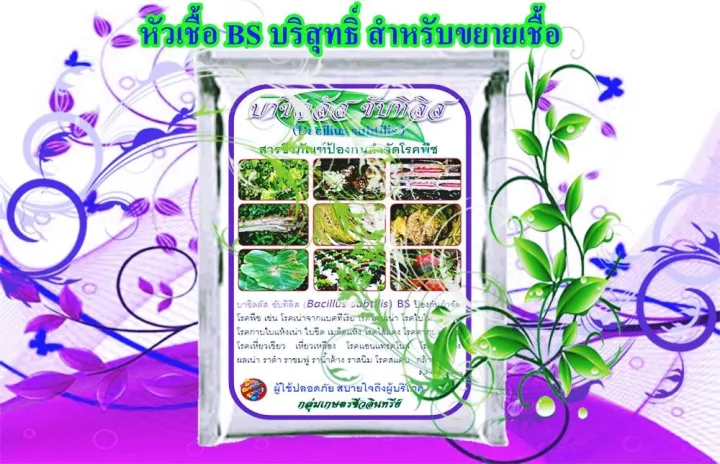 หัวเชื้อ บาซิลลัส ซับทีลิส BS บริสุทธิ์ ขยายได้ 20 ลิตร