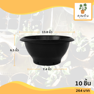 กระถาง อ่างบัว อ่างชวนชม มีรู ขนาด 13 นิ้ว สีดำ 10 ใบ ชิ้น อัน