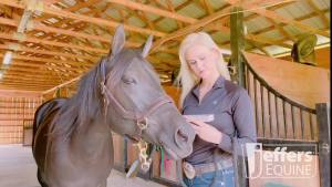 Jeffers Ivermectin Gel Dewormer for Horses - Apple Flavored 1.87% Broad Spectrum Dewormer Paste - Effective Parasite Control for Worms Pinworms Bots & More - Safe for All Equine