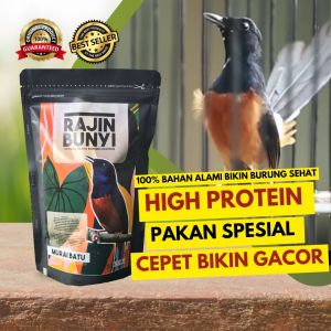 PAKAN KHUSUS MURAI BATU VOER  RAJIN BUNYI HARIAN DAN LOMBA 250G